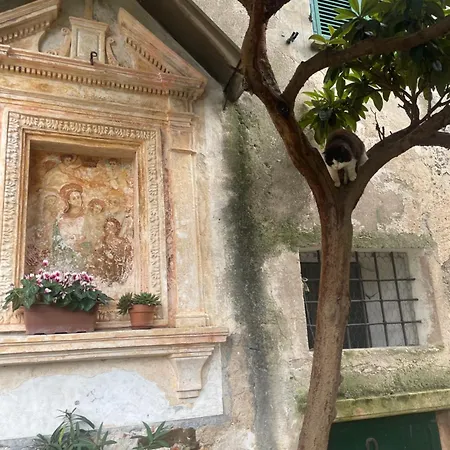 Crosa Tra Le Nuvole *