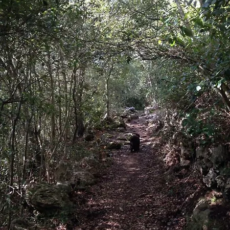 度假居 Crosa Tra Le Nuvole